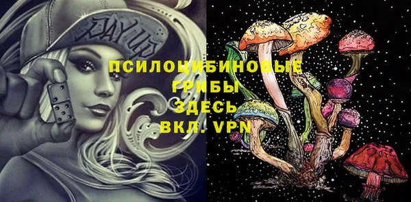 метамфетамин Алексин