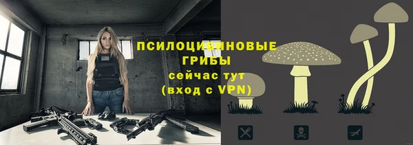 эйфоретик Алексеевка