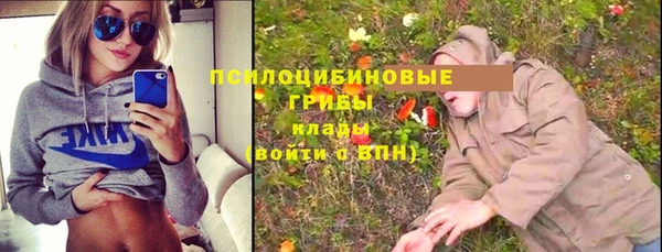 эйфоретик Алексеевка