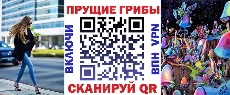 ОМГ ОМГ зеркало  Орёл  Галлюциногенные грибы Psilocybine cubensis 